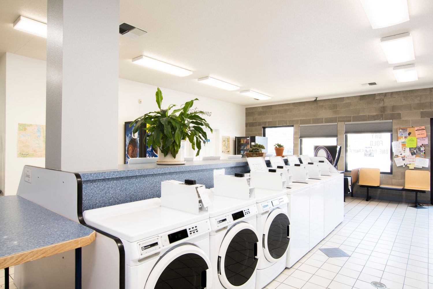 Wash & Go: 103 Rufus Ln, Polson, MT 59860